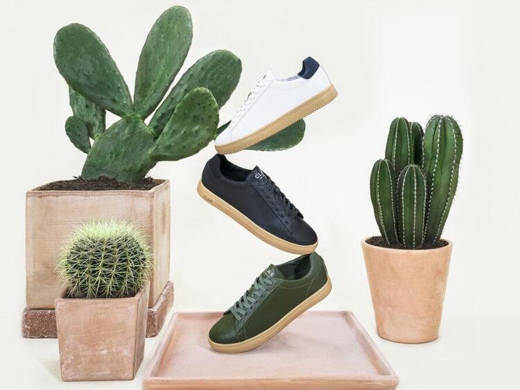  Предприниматели из Франции запустили в производство обувь из кактусов 